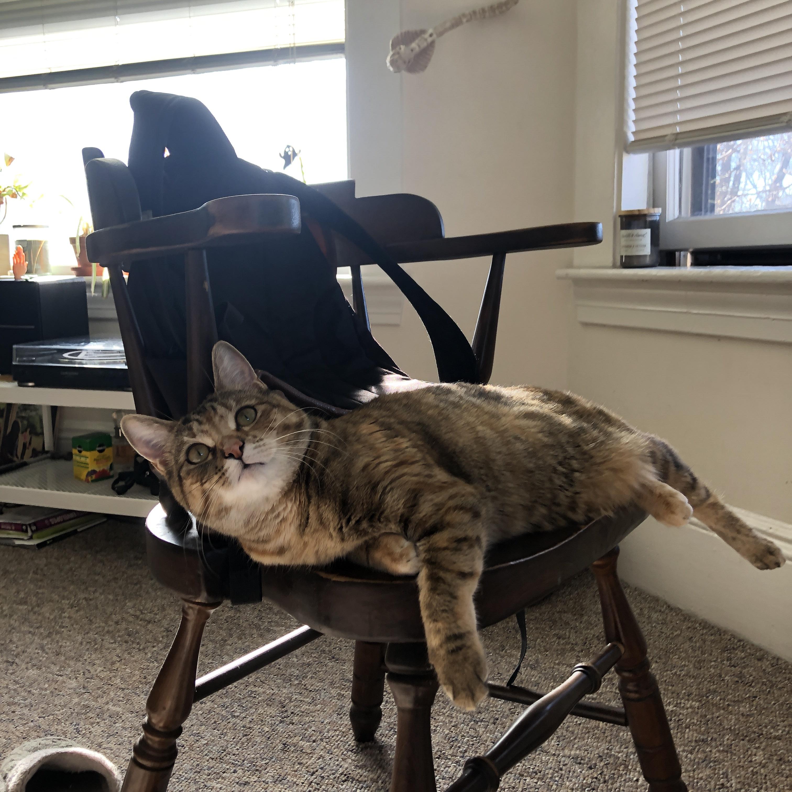 【智能视频裁决】系统如何帮助裁判做出精准判决?,视频裁判组叫什么